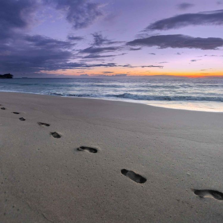 Cushy Footprints