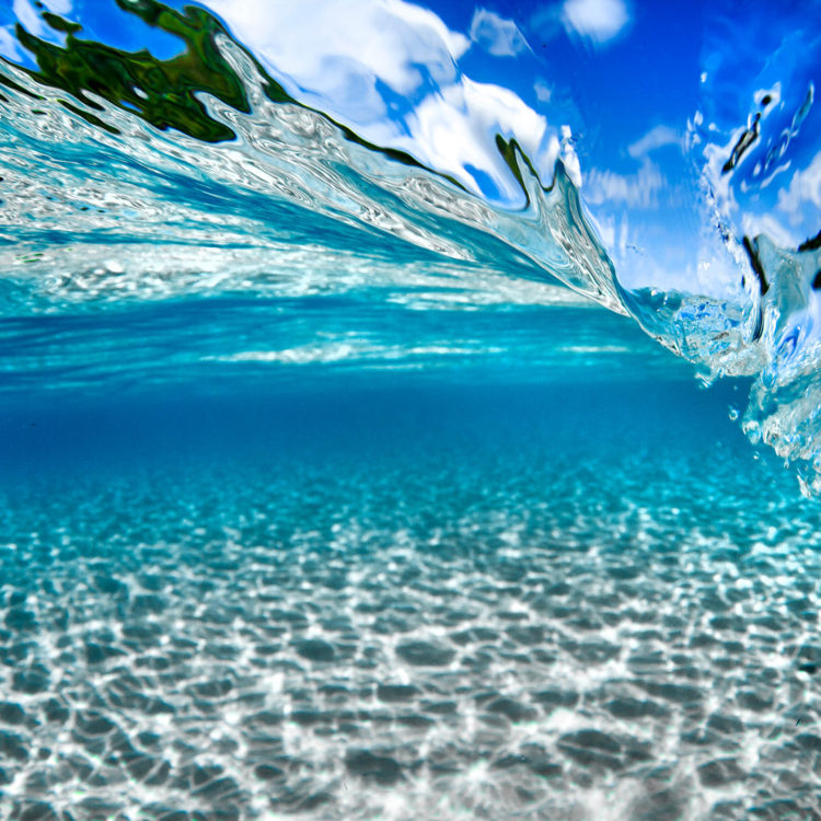 Liquid Motion