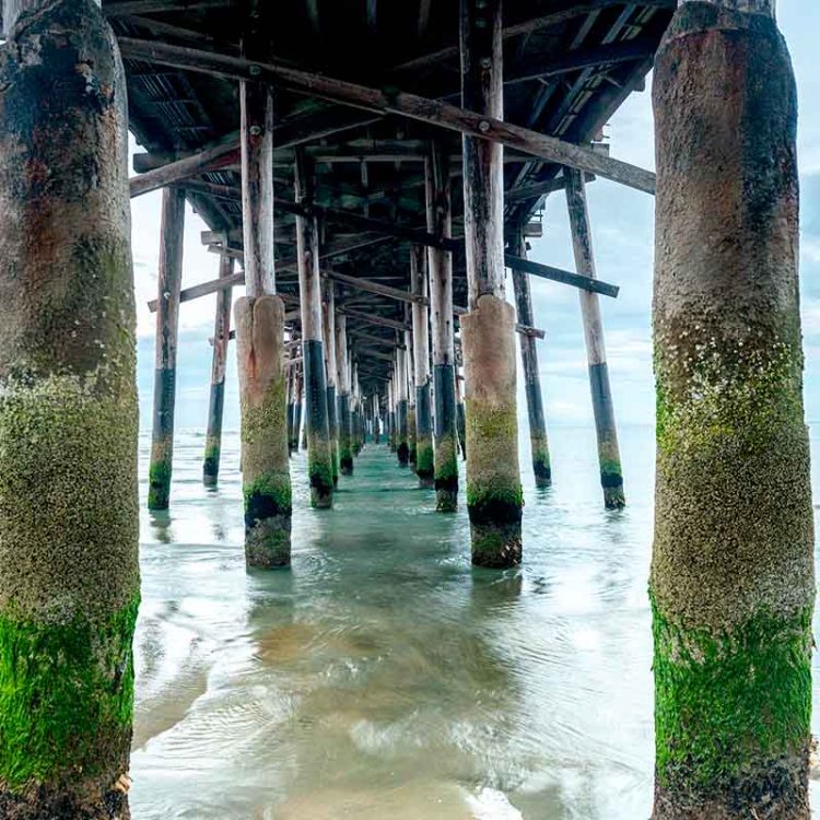 Newport Beach Pier