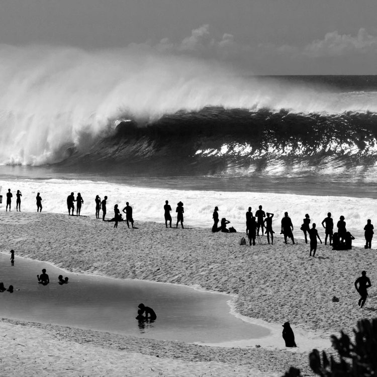Pipe Frenzy bw