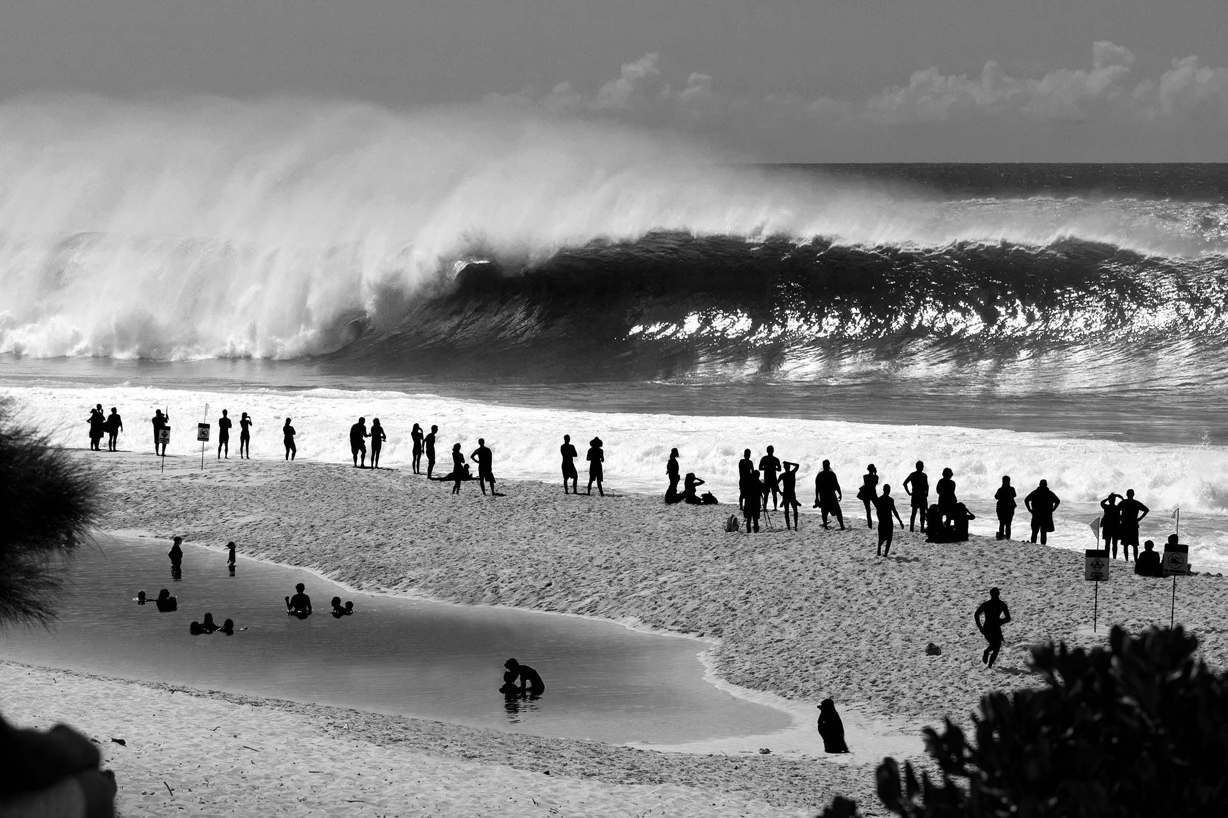 Pipe Frenzy bw