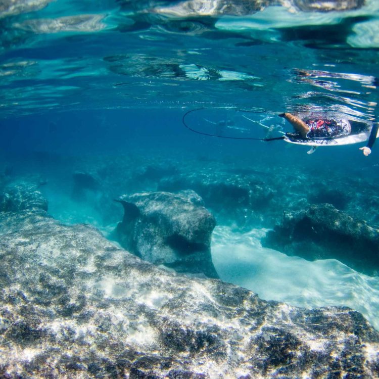 Reef Anvil