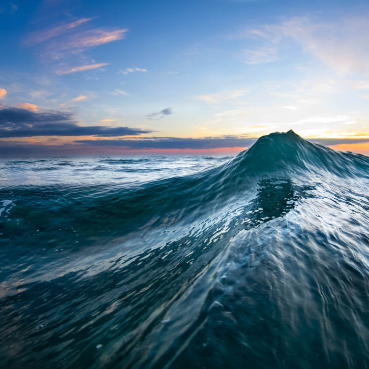 Sea Mount