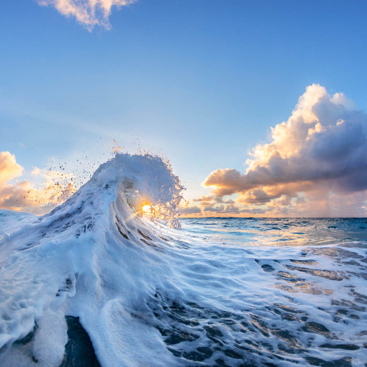 Sun Kissed Foam