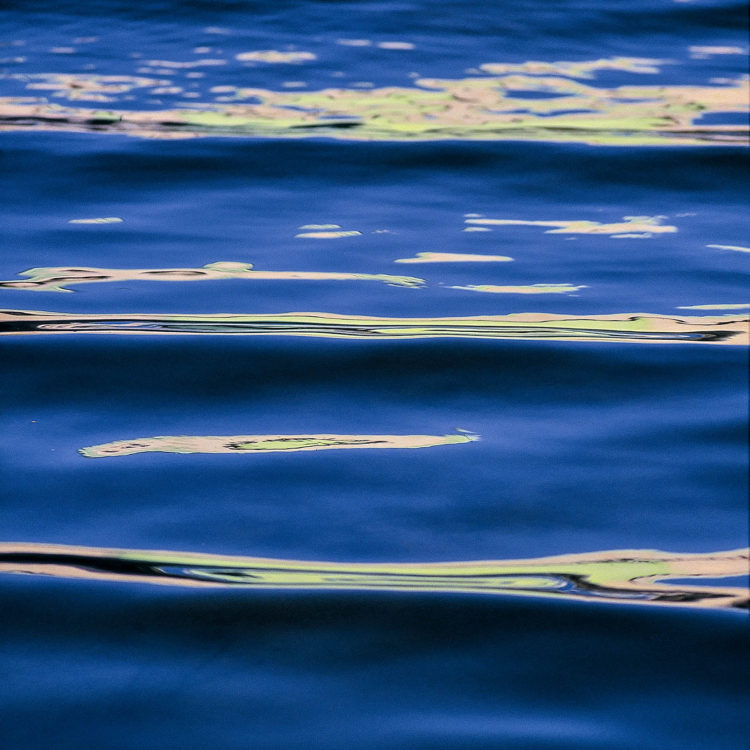 Surf Ladder