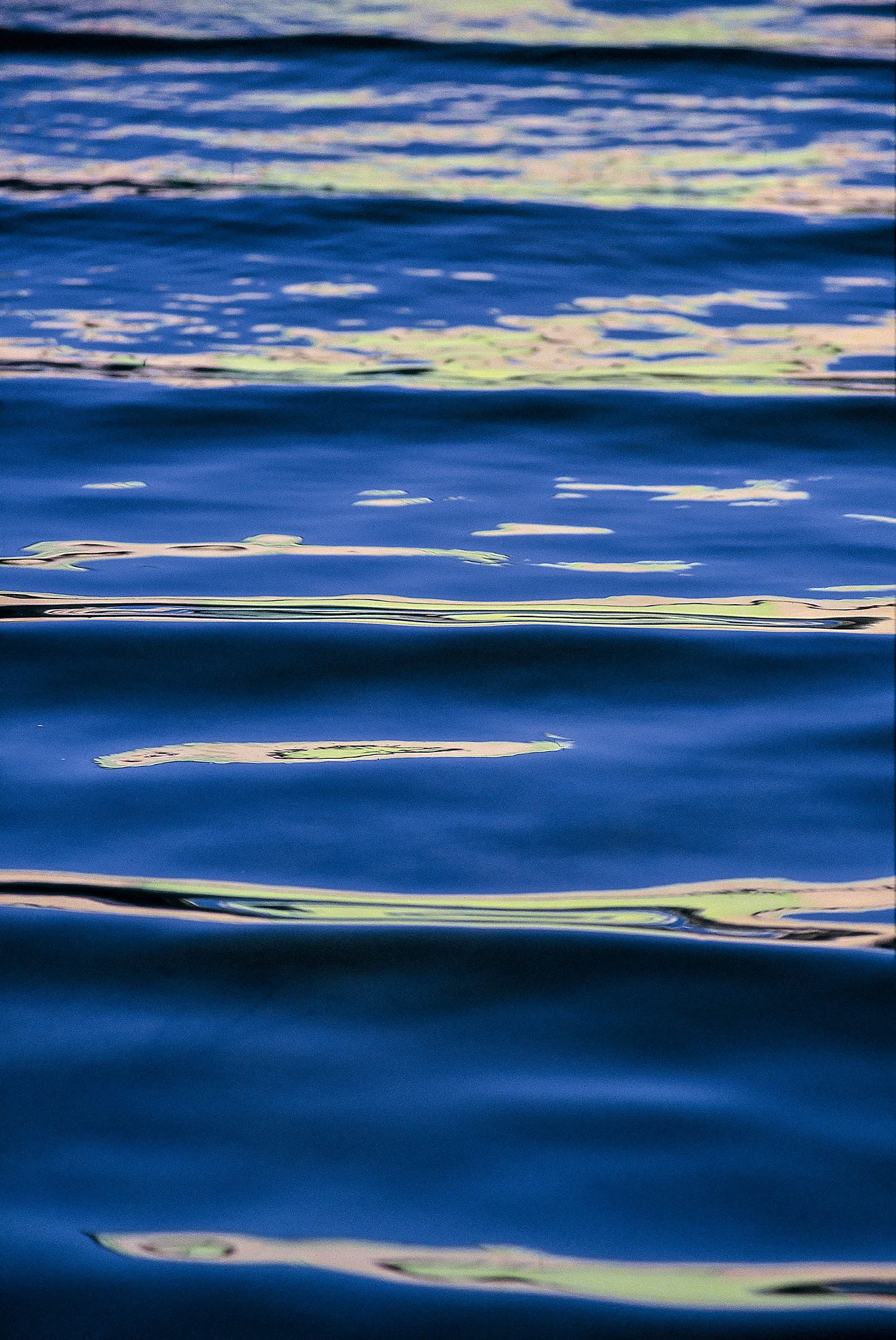 Surf Ladder
