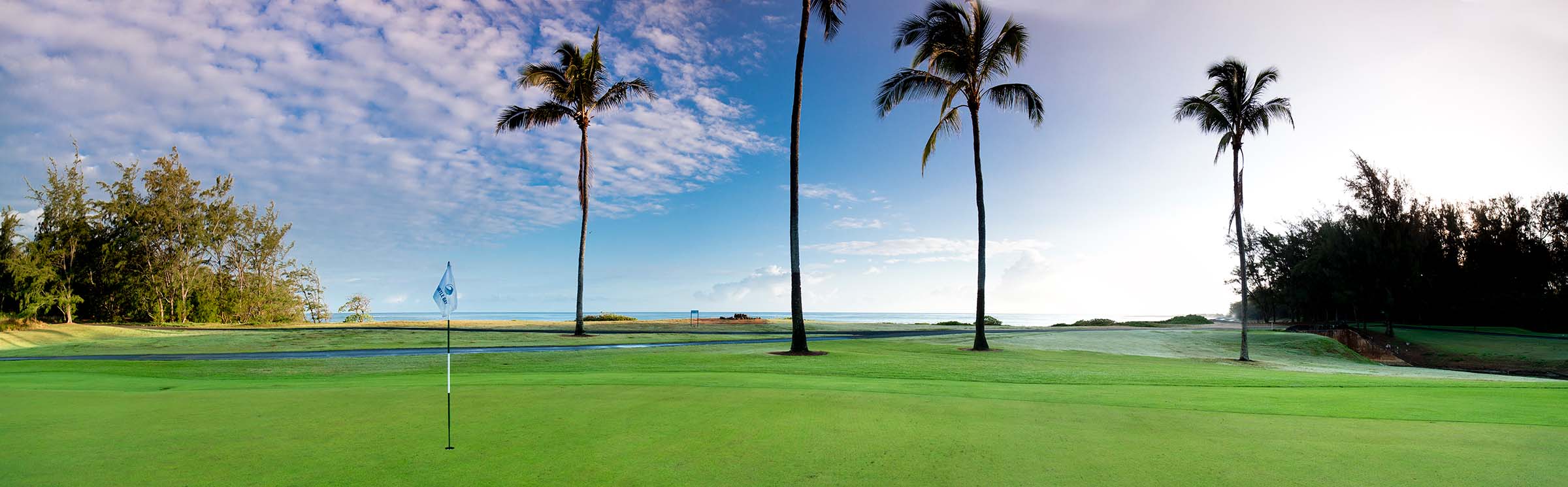 Turtle Bay Golf 3