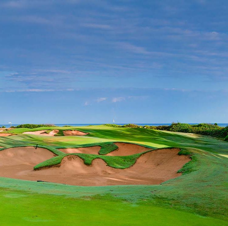 Turtle Bay Golf 4