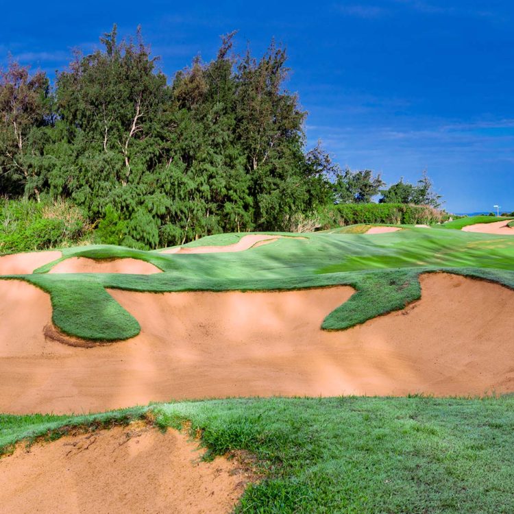Turtle Bay Golf 5