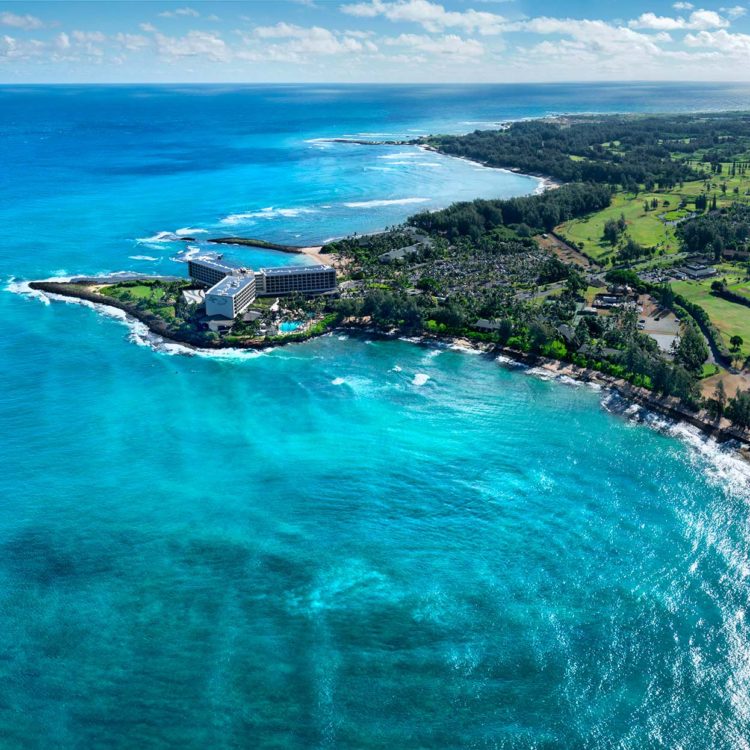 Turtle Bay Reef Glow