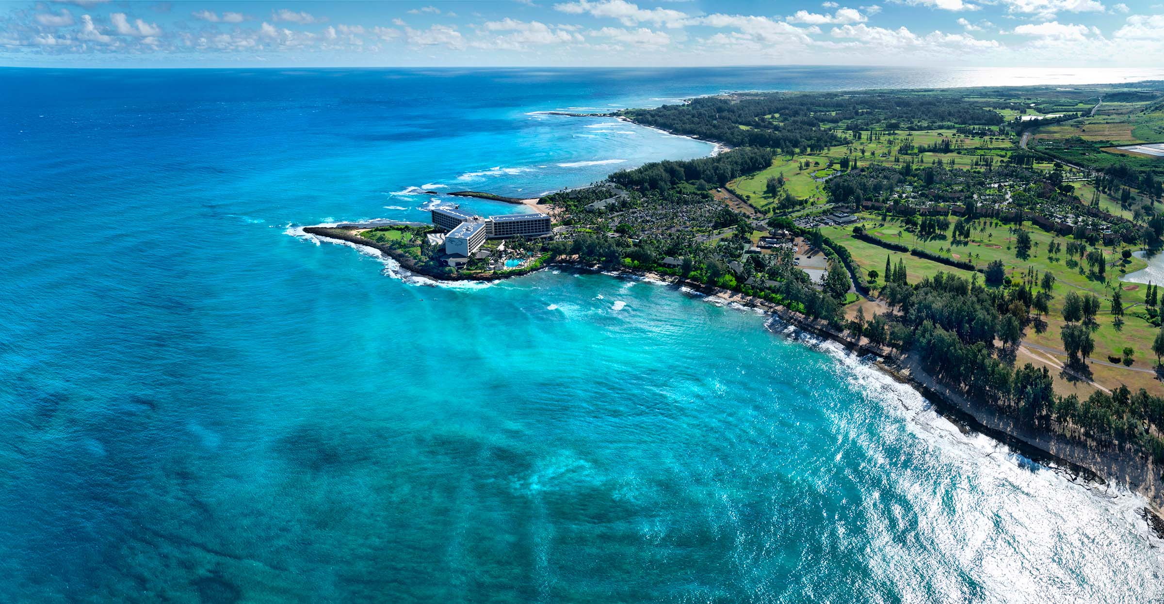Turtle Bay Reef Glow