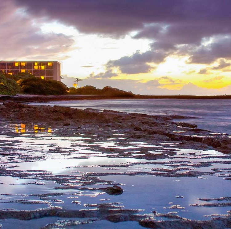 Turtle Bay Reflections