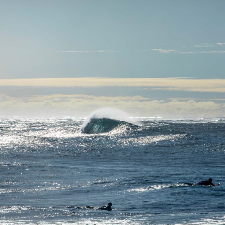 Turtle Bay Diamonds 2