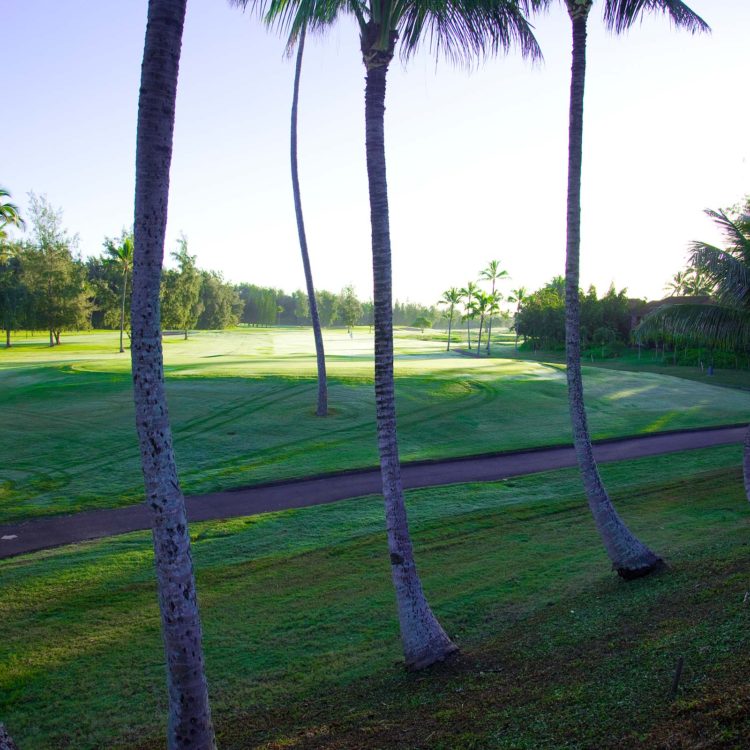 Turtle Bay 18th Hole Overview Horizontal