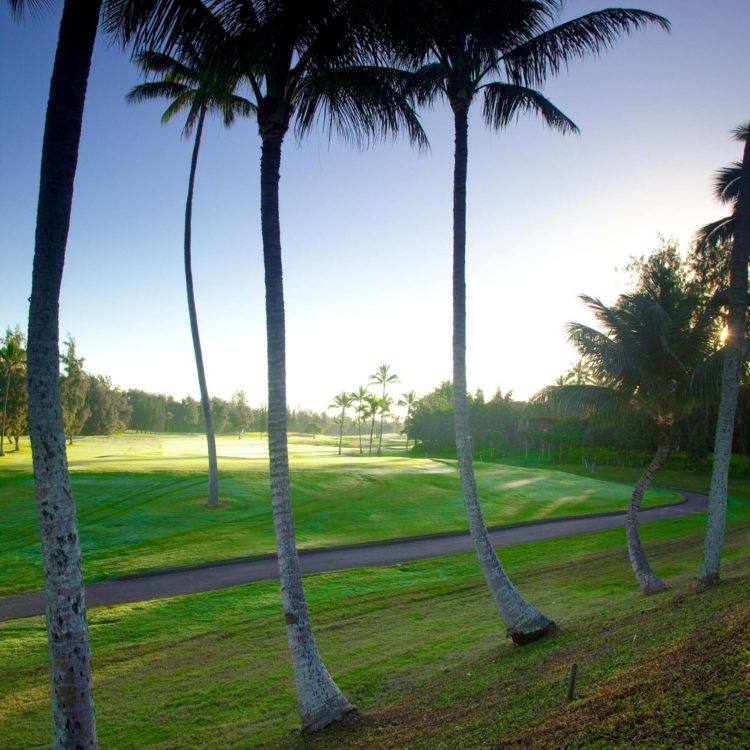 Turtle Bay 18th Hole Overview Vertical