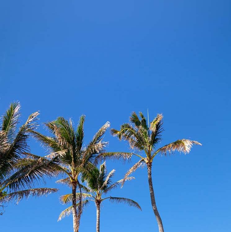 Turtle Bay Chapel Vertical