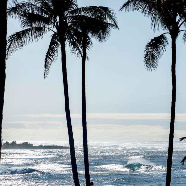 Turtle Bay Diamonds 1