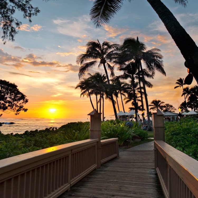Turtle Bay Footbridge