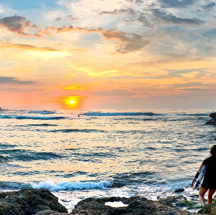 Turtle Bay Surfer