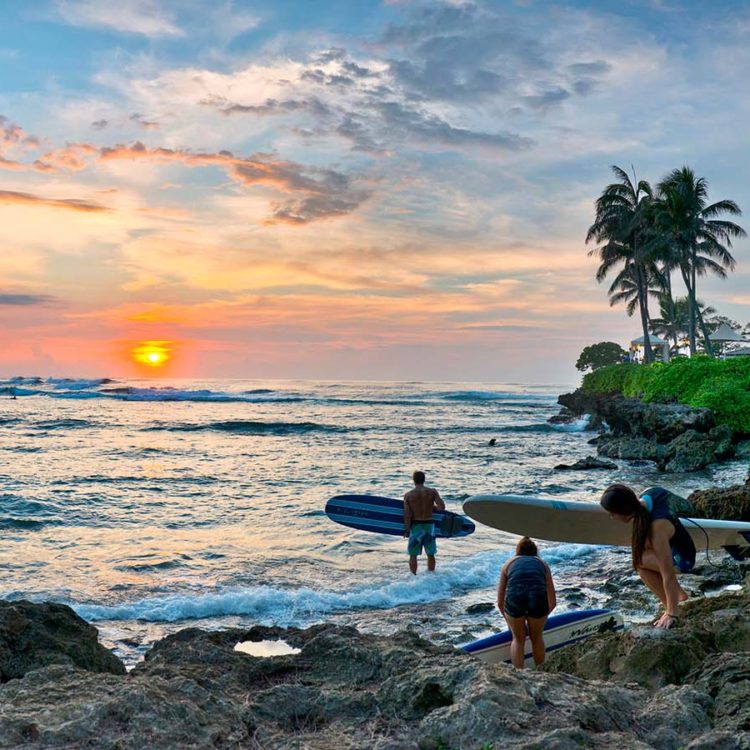 Turtle Bay Surfers 2