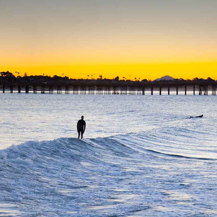 Ventura Surfer