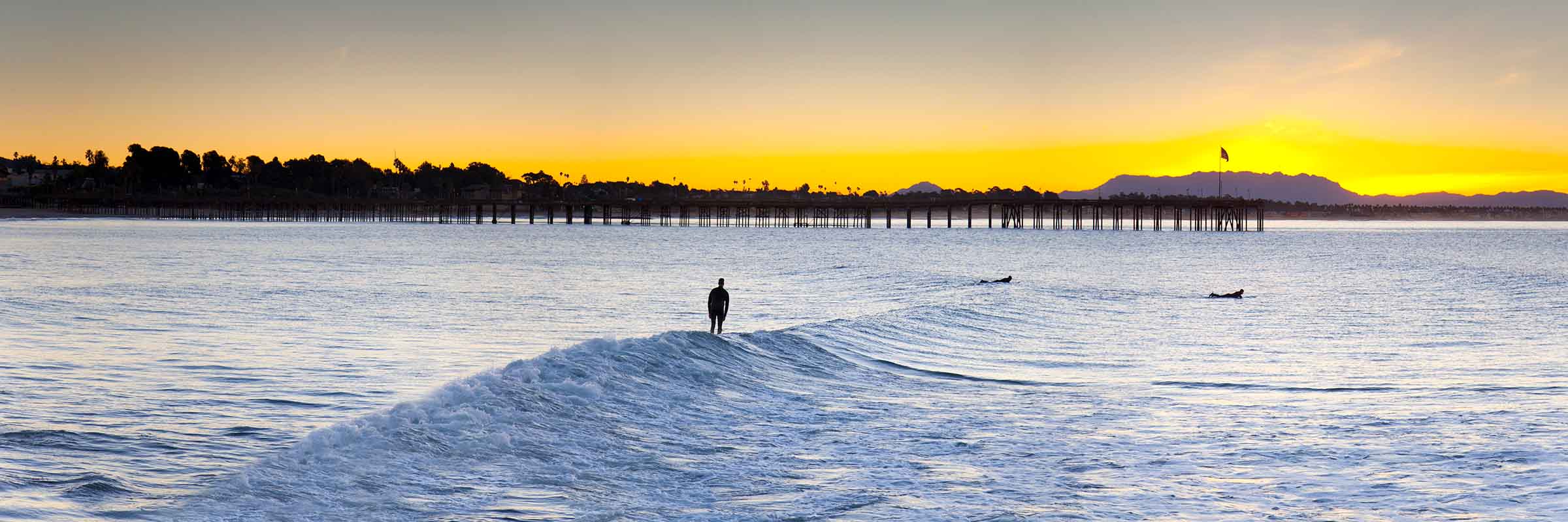 Ventura Surfer