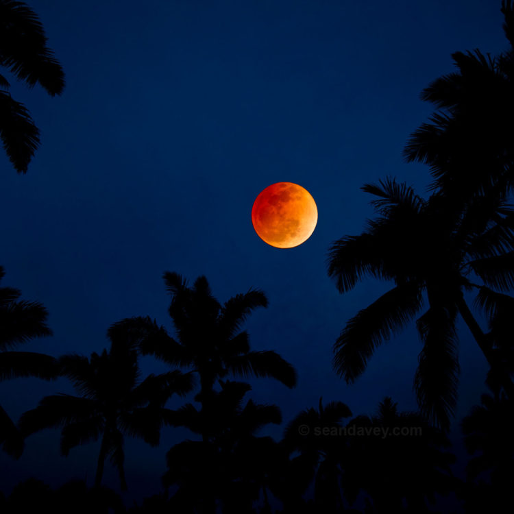 Blood Moon