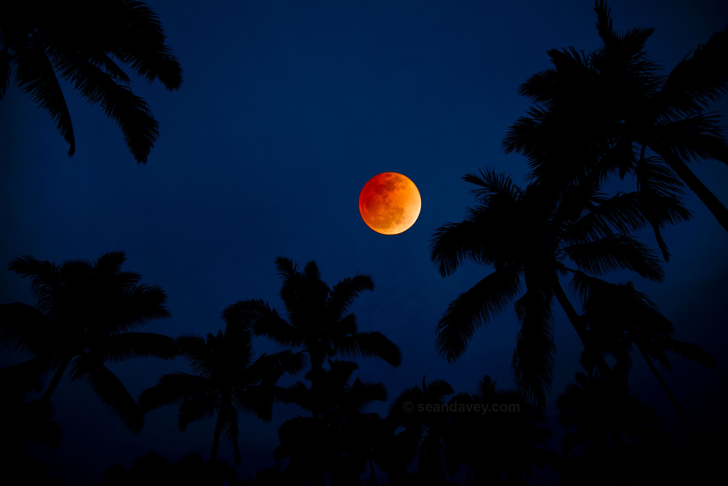 Blood Moon