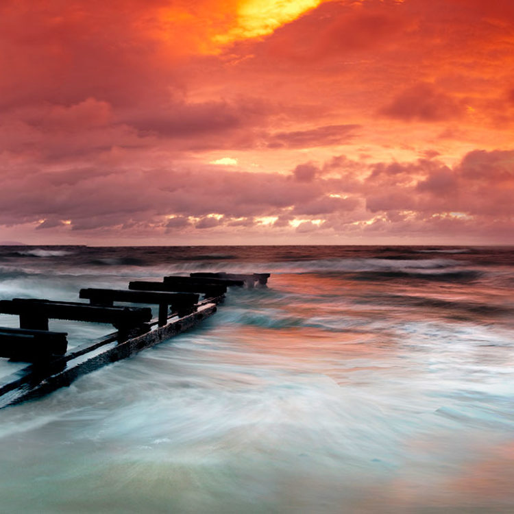 Back to the Sea
