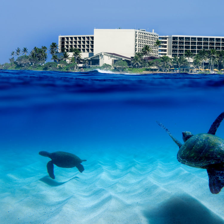 Beneath the Waves