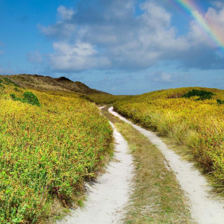 Beach Road Rainbow