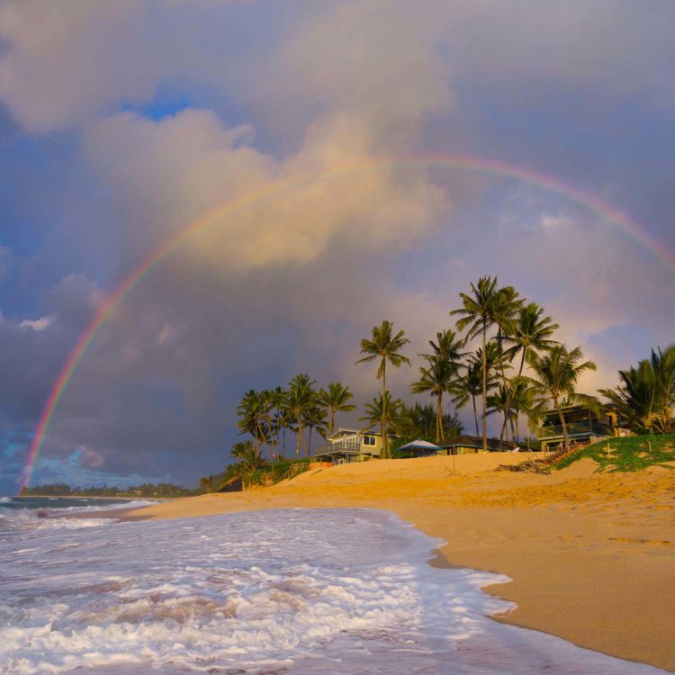 Coconut Rainbow