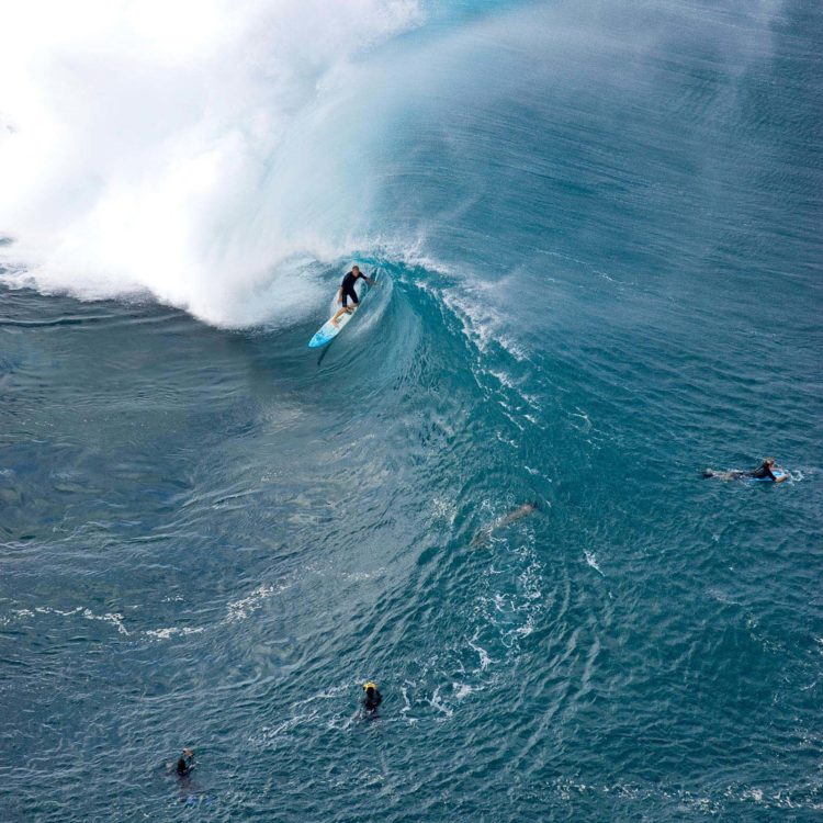 Flynn Novak Pipeline