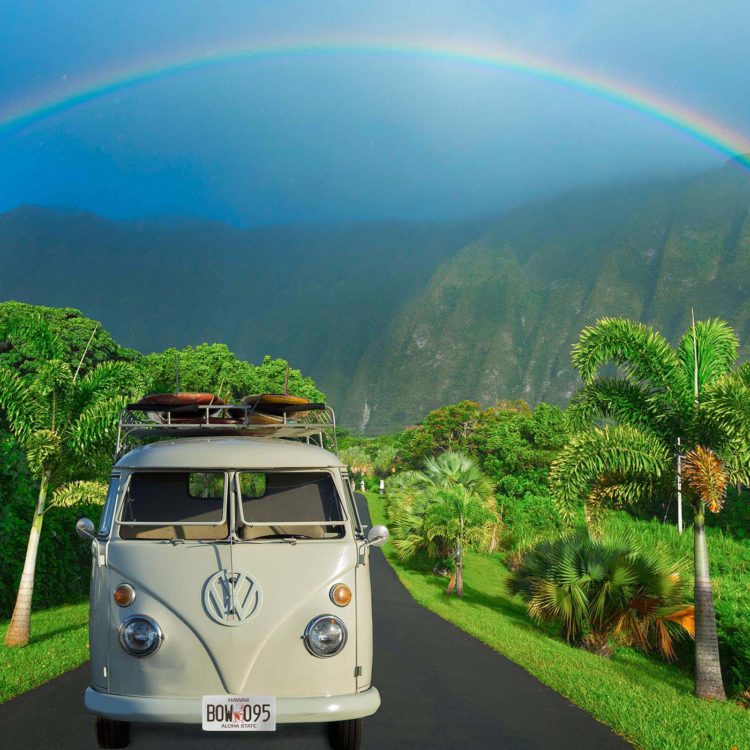 Hawaiian Kom Bow