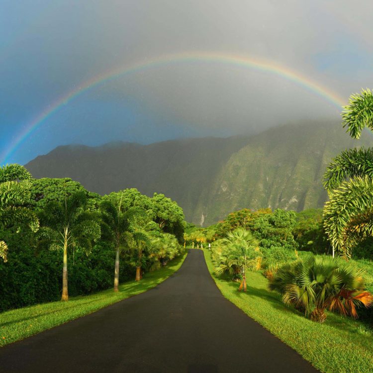 Majestic Rainbow Standard