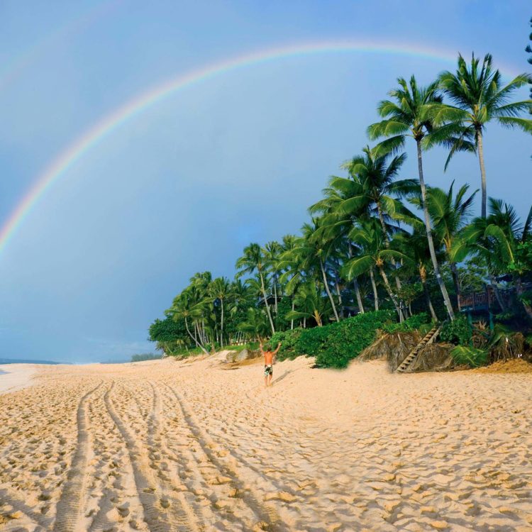North Shore Rainbow