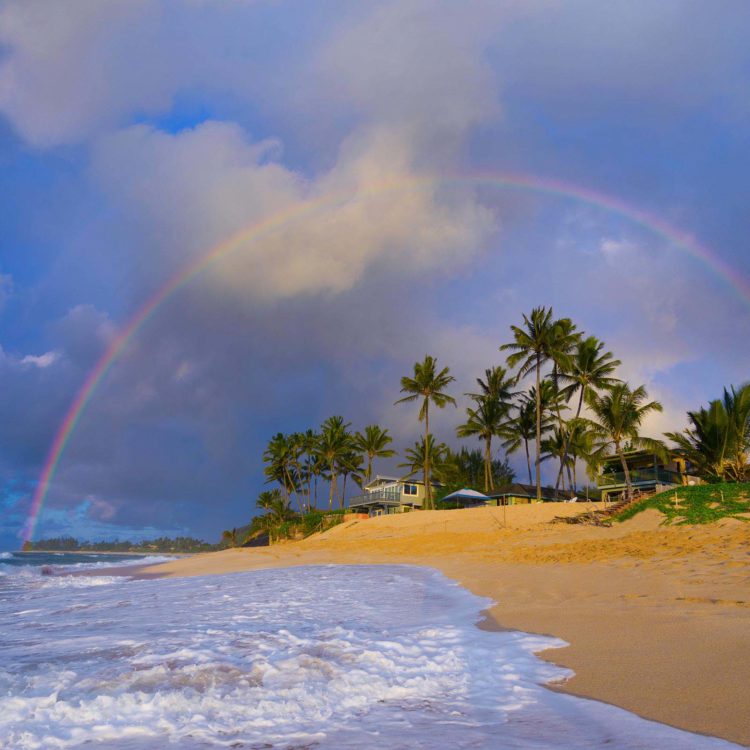 Palm Point Rainbow