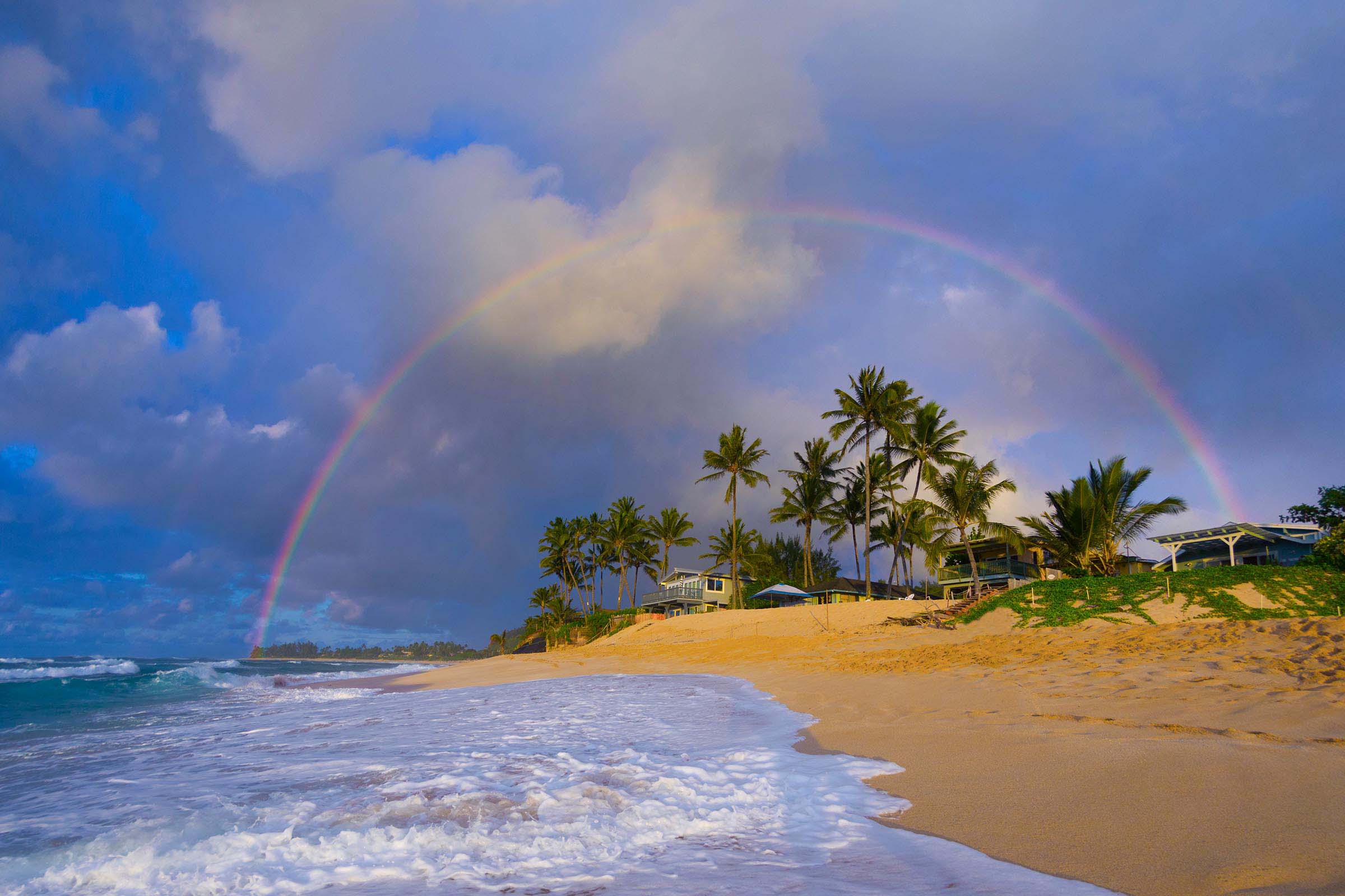 Palm Point Rainbow