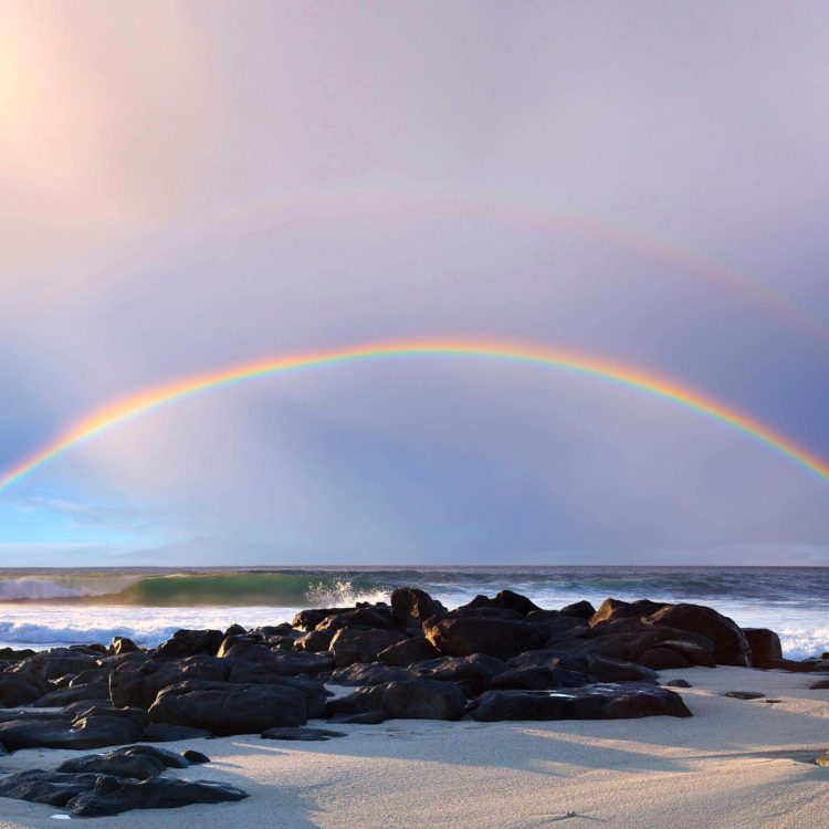 Rockpile Rainbows