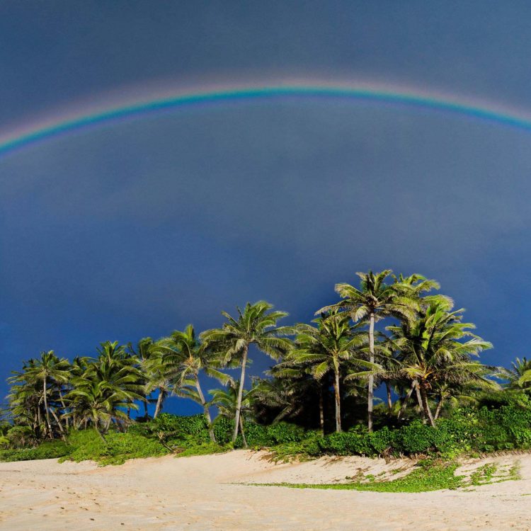 Rocky Point Rainbow