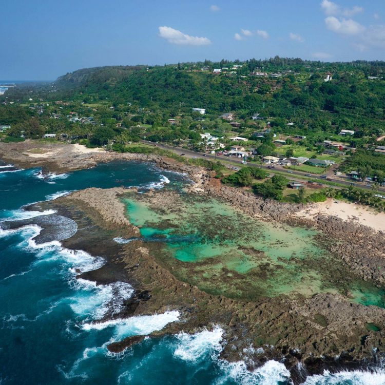 Sharks Cove 2