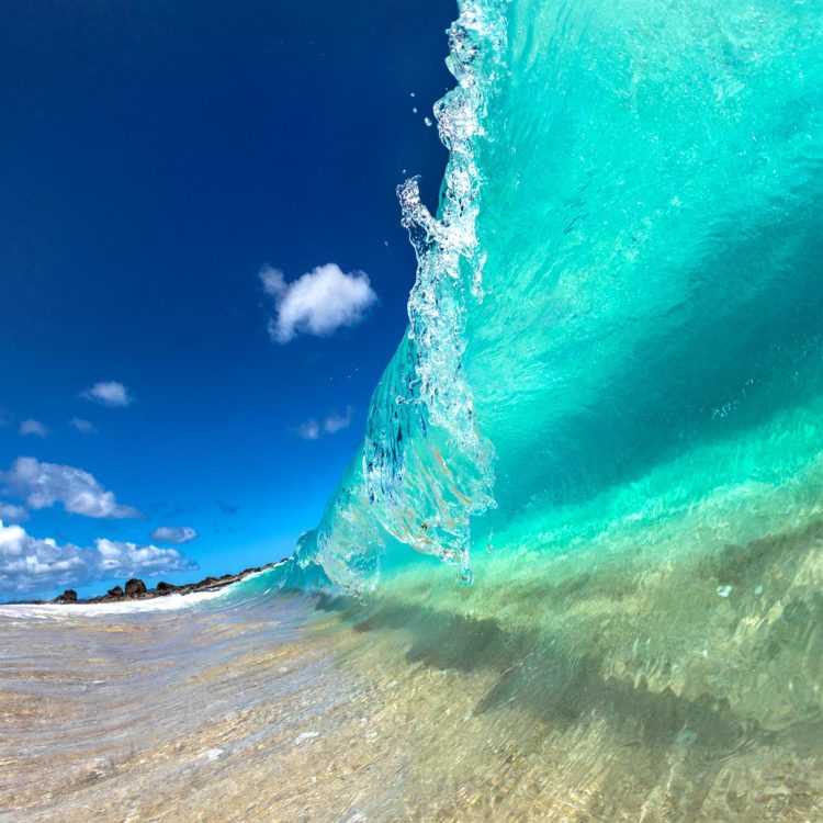 Turquoise Treasure