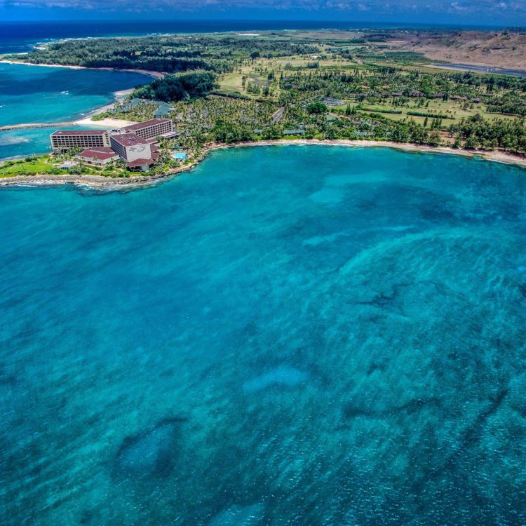 Turtle Bay 3