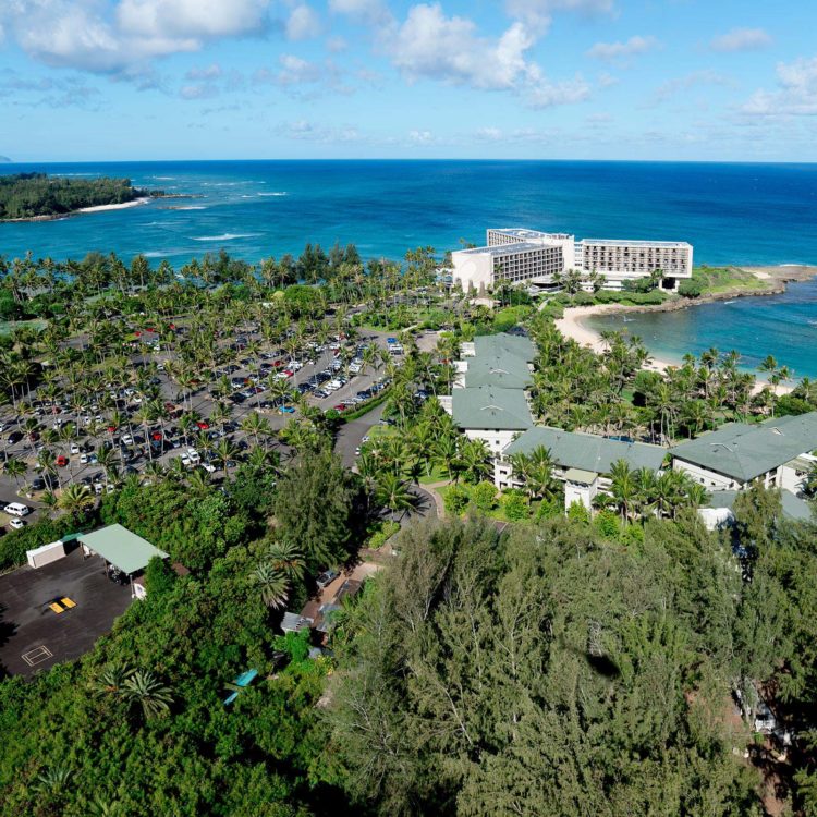 Turtle Bay 6