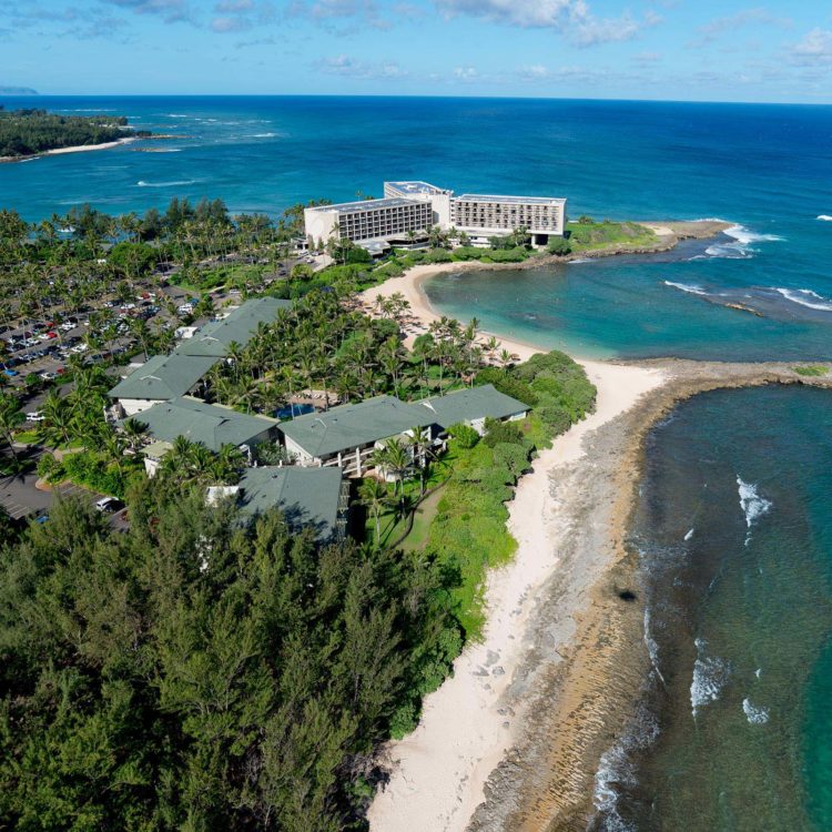 Turtle Bay 10