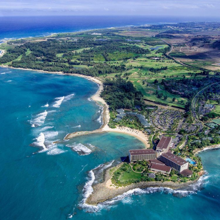 Turtle Bay 9