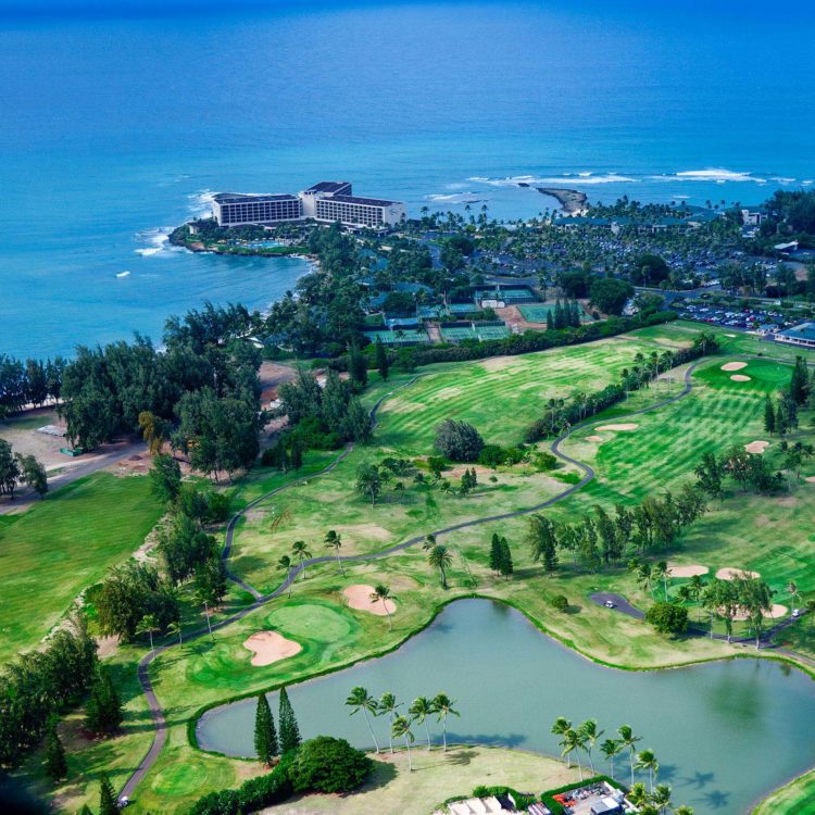 Turtle Bay 4