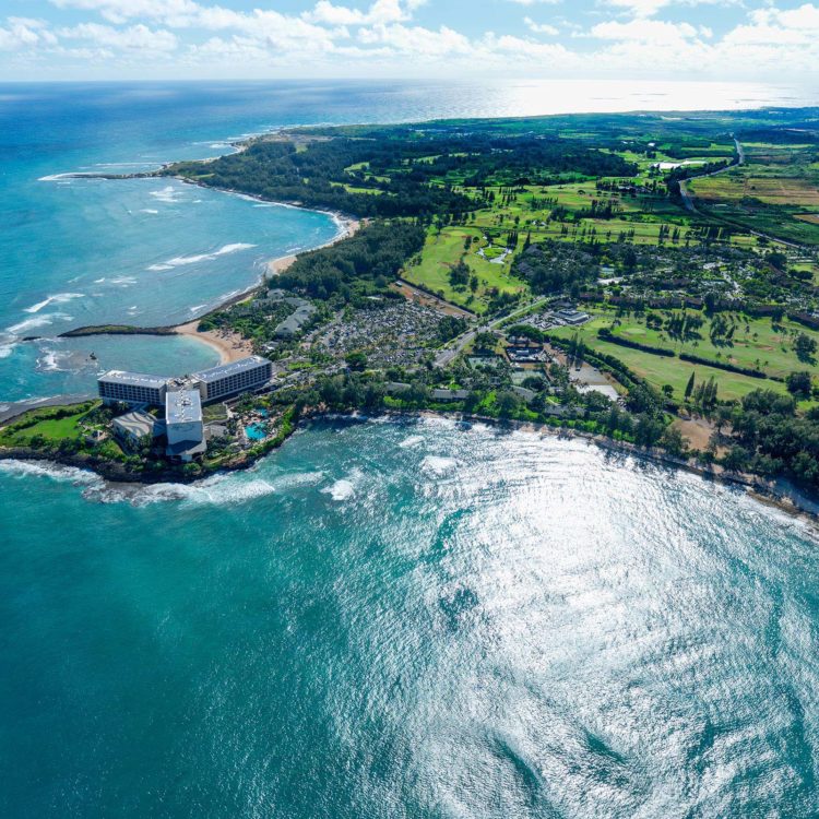 Turtle Bay 5