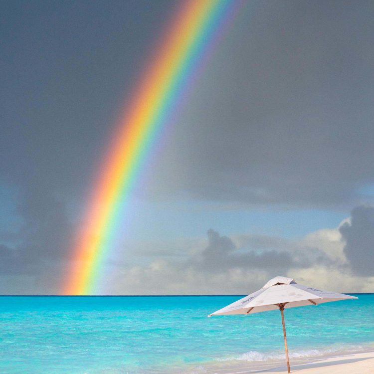 Umbrella Bow