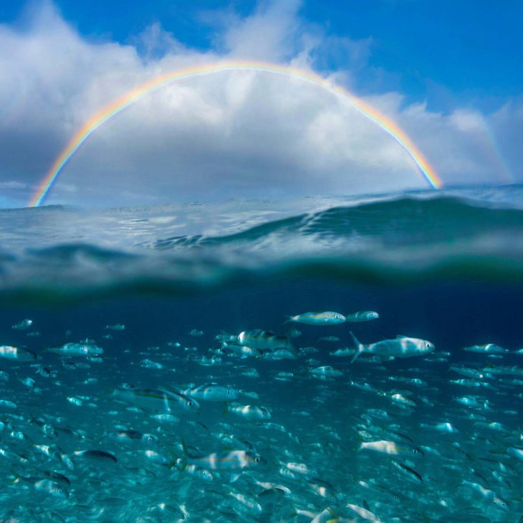 Under The Rainbow - Horizontal